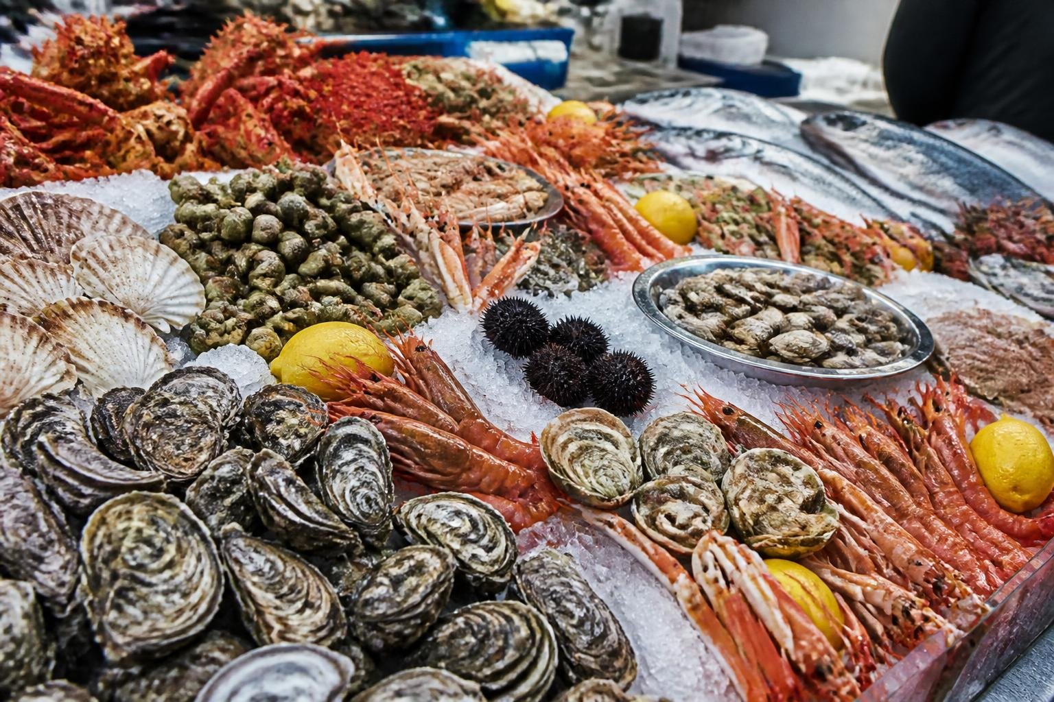Étalage de fruits de mer frais à la criée