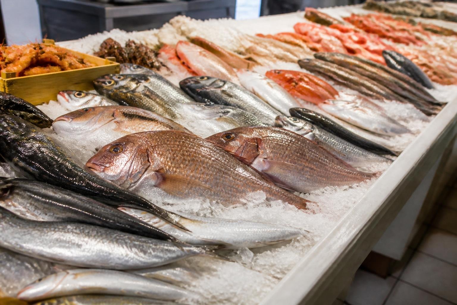 Poissons frais exposés sur un étal de marché aux poissons
